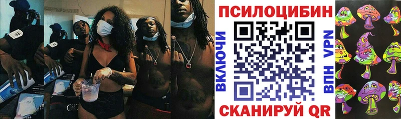 Купить где  Серпухов  Галлюциногенные грибы MAGIC MUSHROOMS 